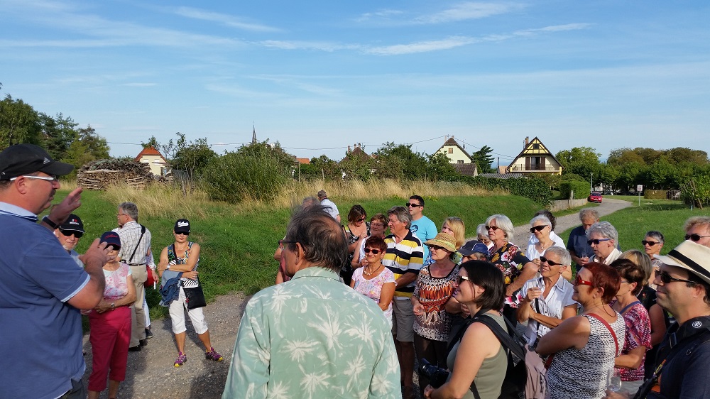 Dégustation dans les vignobles