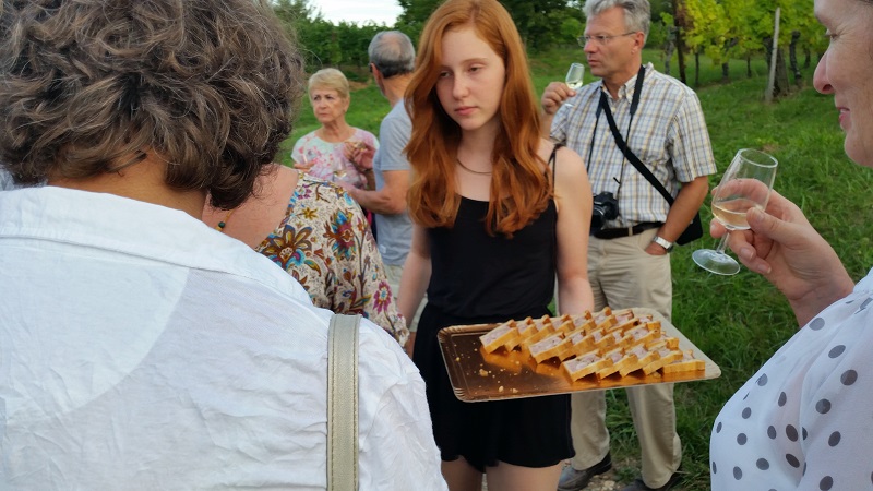 Dégustation dans les vignobles