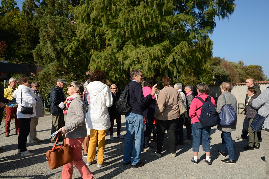 Voyage à Mainau