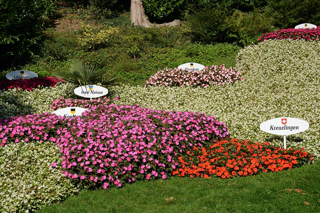 Voyage à Mainau