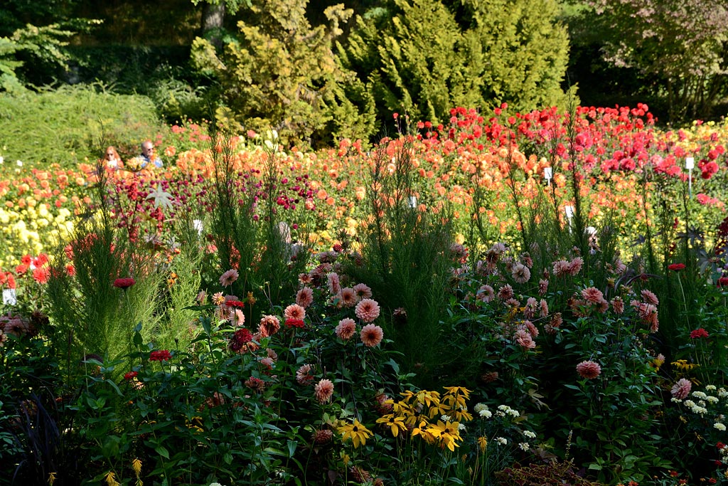 Voyage à Mainau