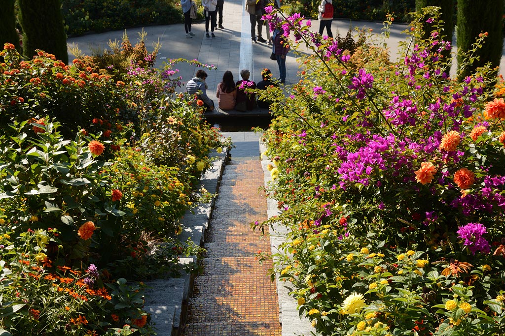 Voyage à Mainau