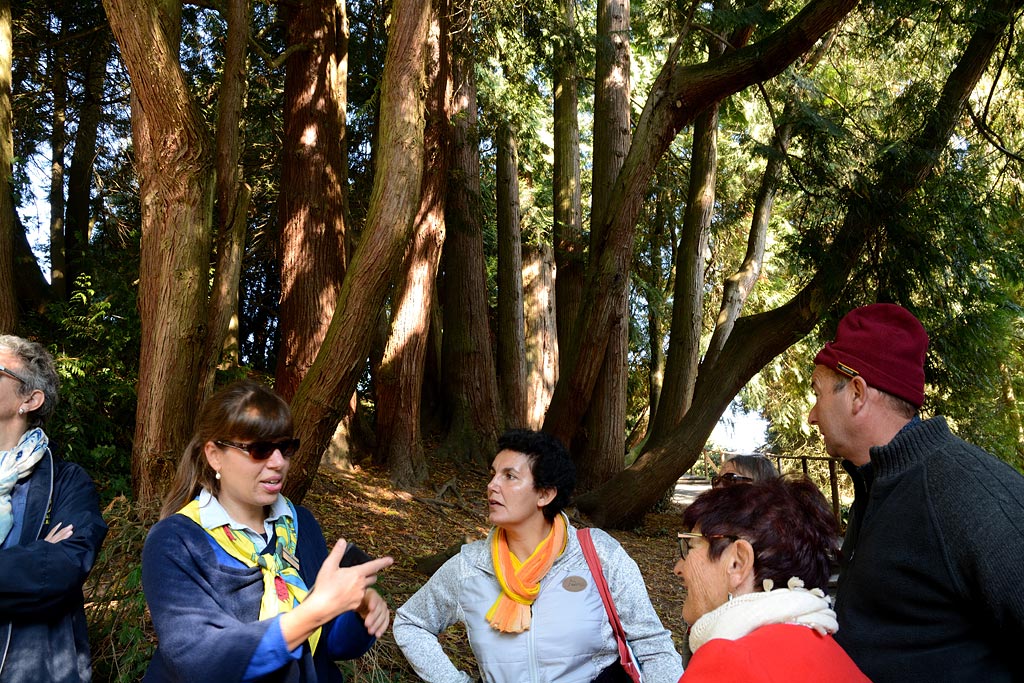 Voyage à Mainau