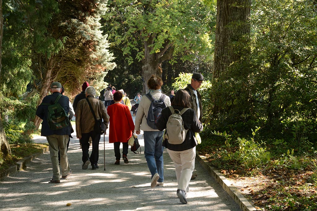 Voyage à Mainau