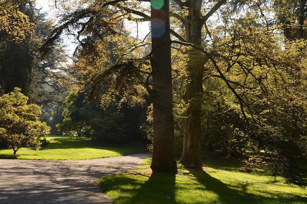 Voyage à Mainau