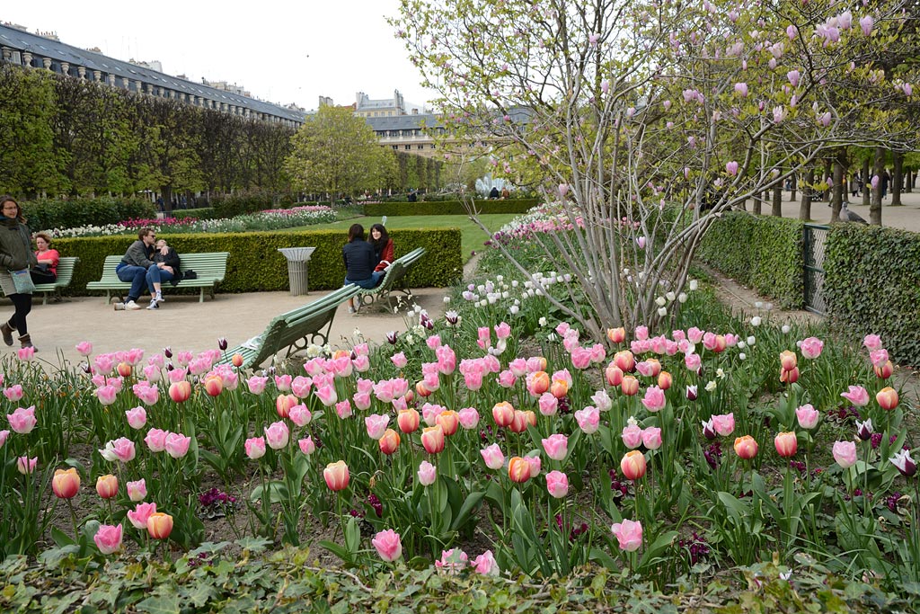 Sortie Parisienne Le Canard à l'Orange 