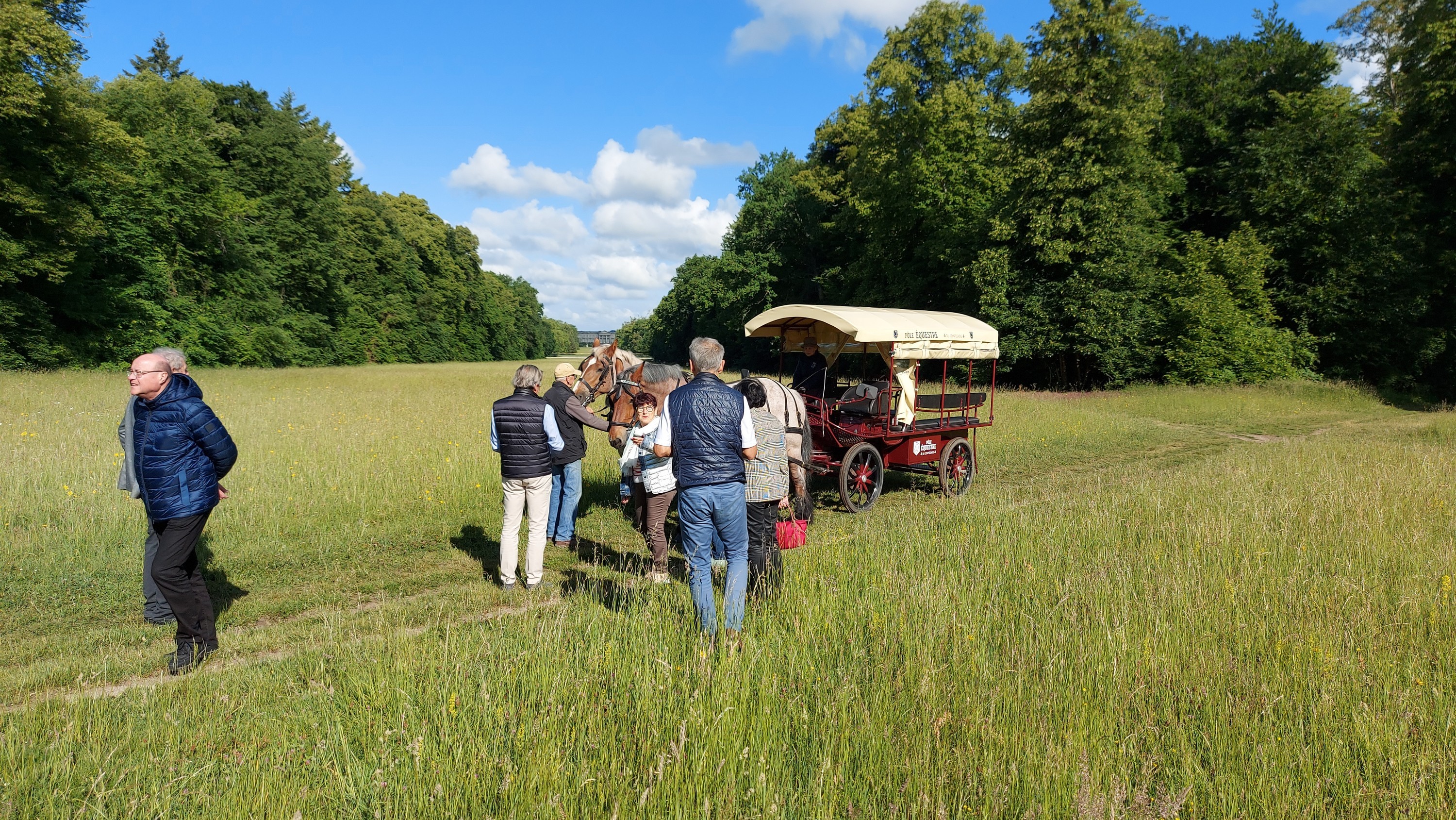 Promenade en calèche dans la forêt de Compiègne