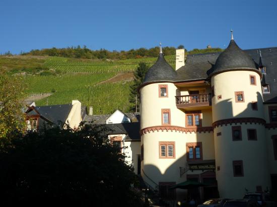 Vignobles à Zell an der Mosel