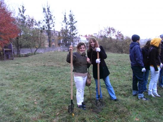 Quentin et Qöghan plantent des arbres dans le parc lors de la journée écologie.