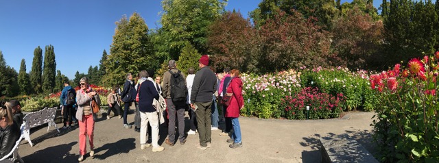 Visite de l'île de Mainau