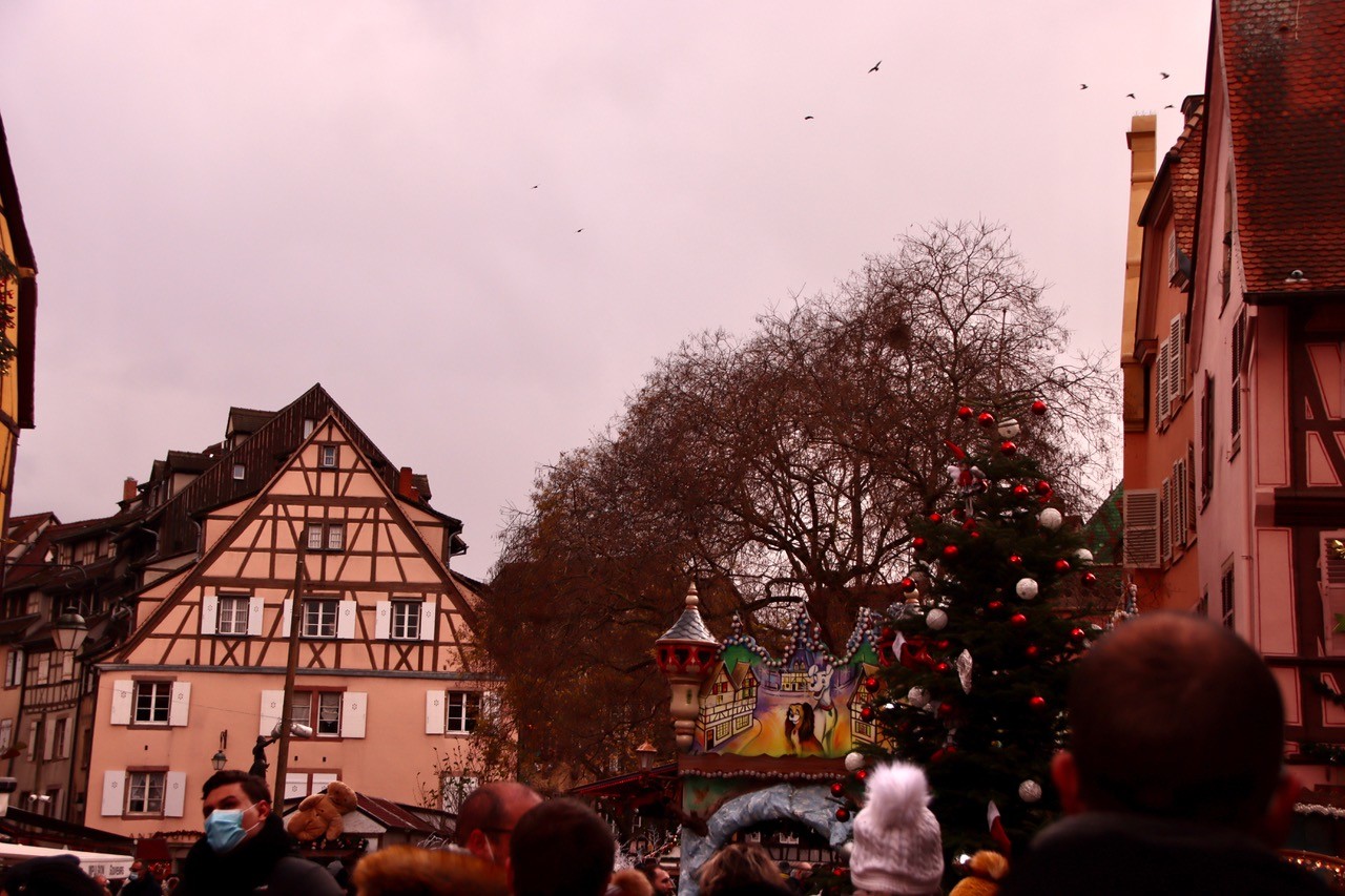 Colmar