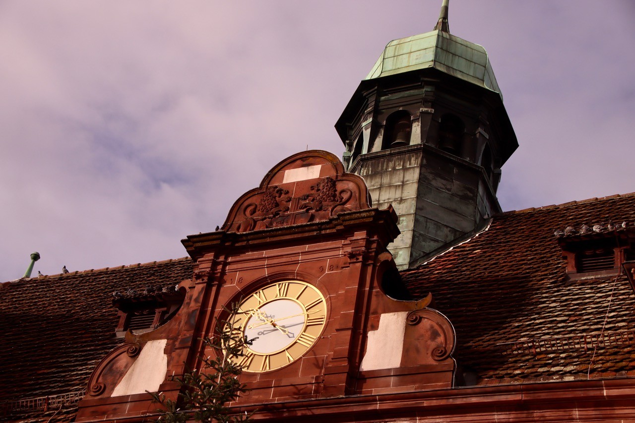 Visite de Freiburg