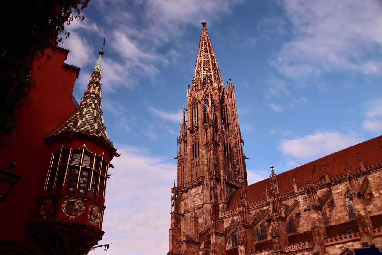 Visite de Freiburg