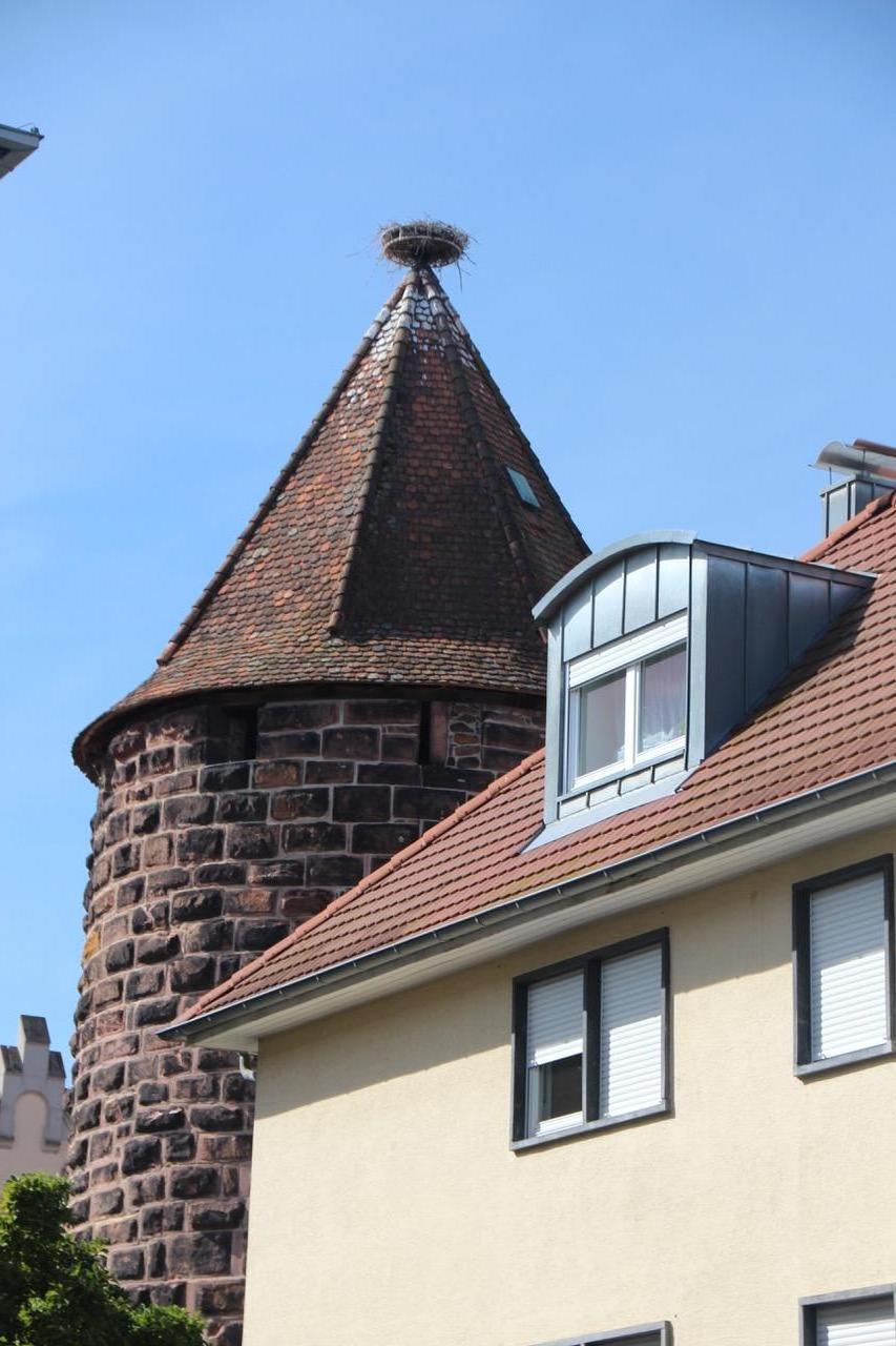 Lahr