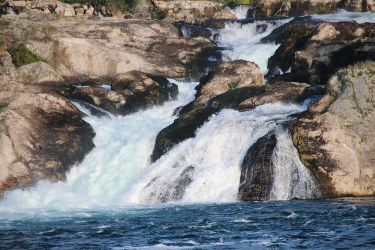 Les chutes du Rhin à Schaffhausen