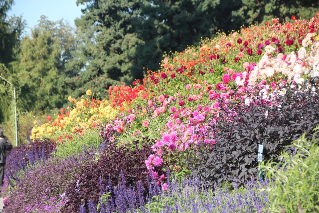 Visite de l'île de Mainau