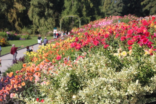 Visite de l'île de Mainau