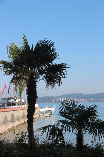 Visite de l'île de Mainau