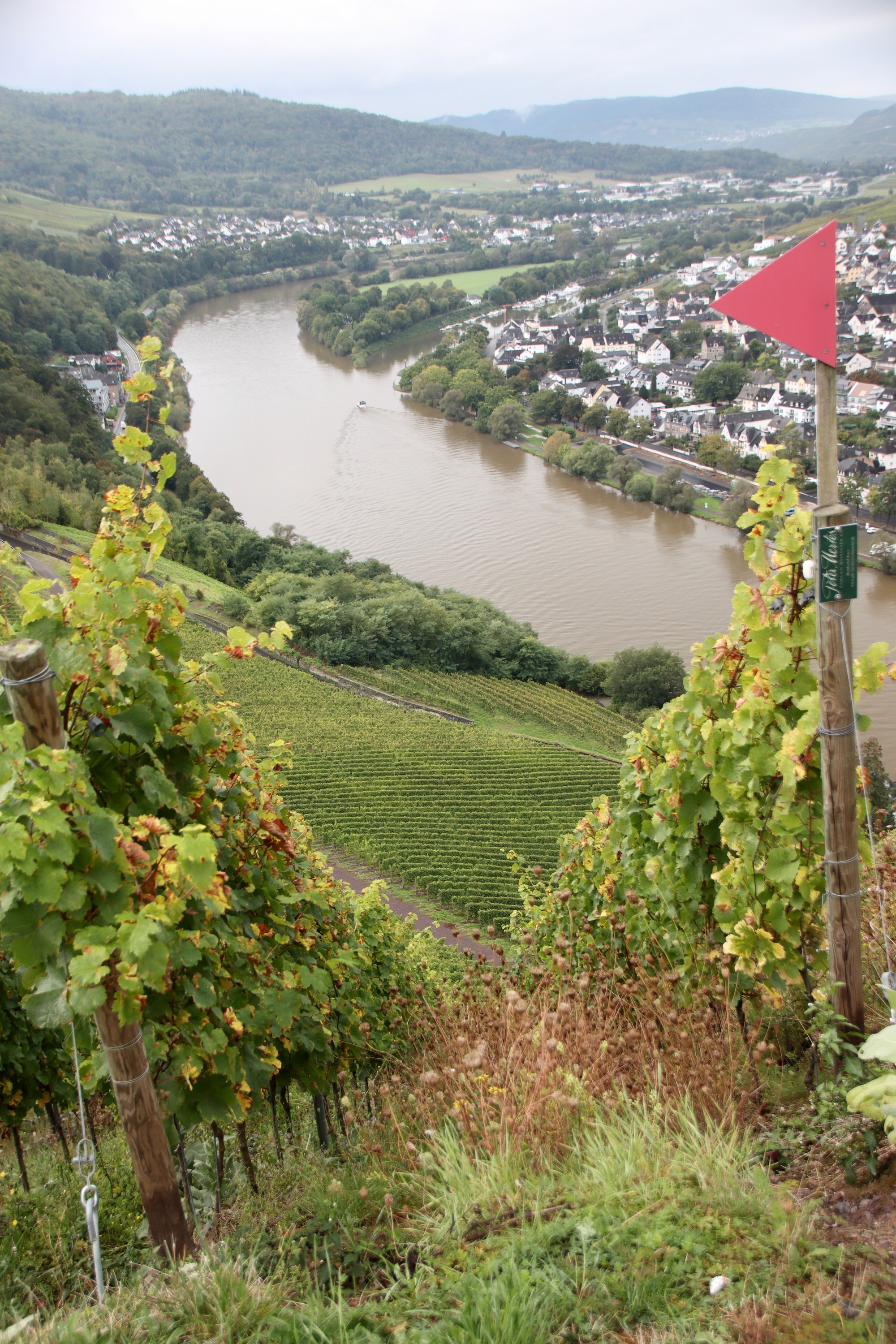 Le panorama vu du restaurant