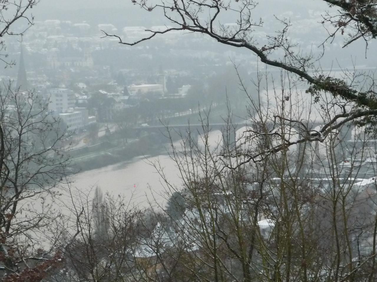 Trèves vue de la Robert Schuman Haus