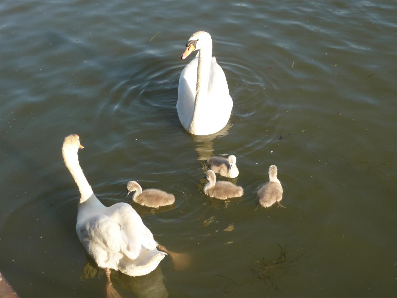 Au bord de l'Oise