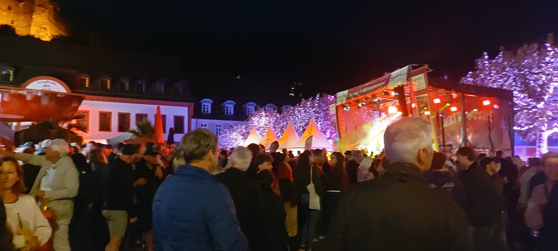 La fête Heidelberger Herbst
