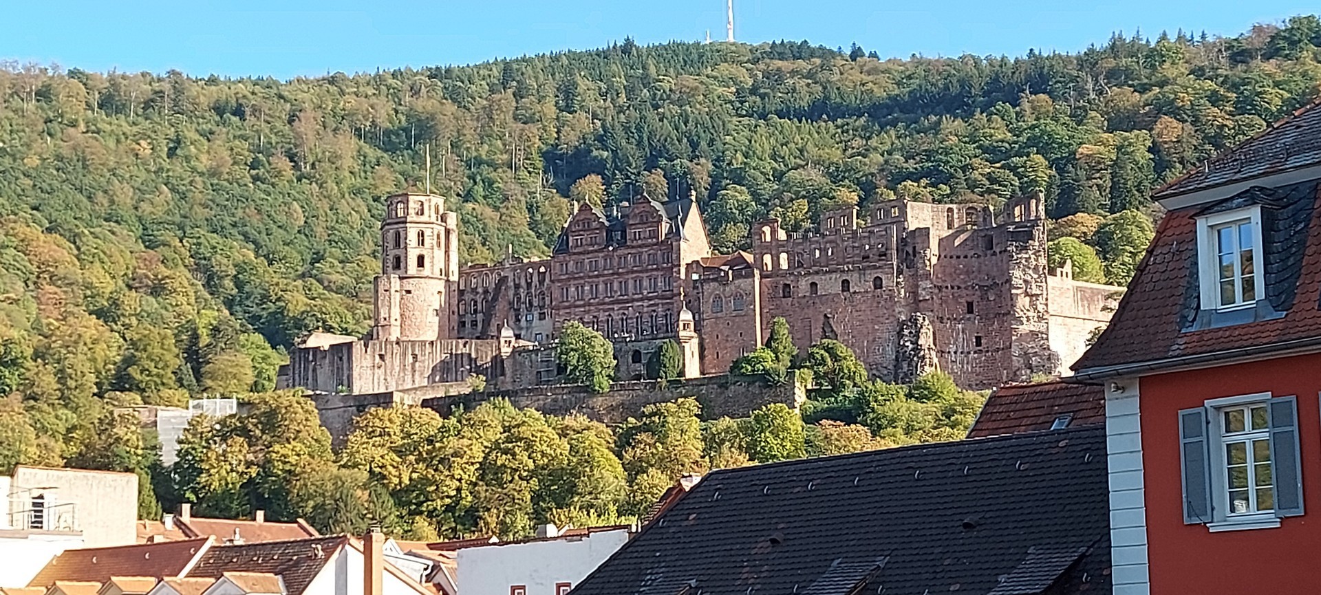 Le château vu du Neckar