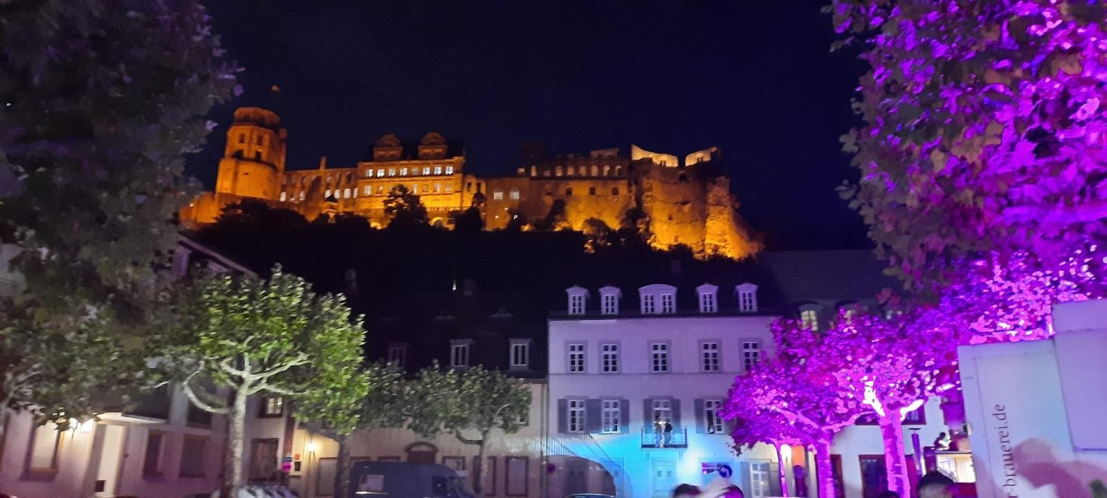 La fête Heidelberger Herbst