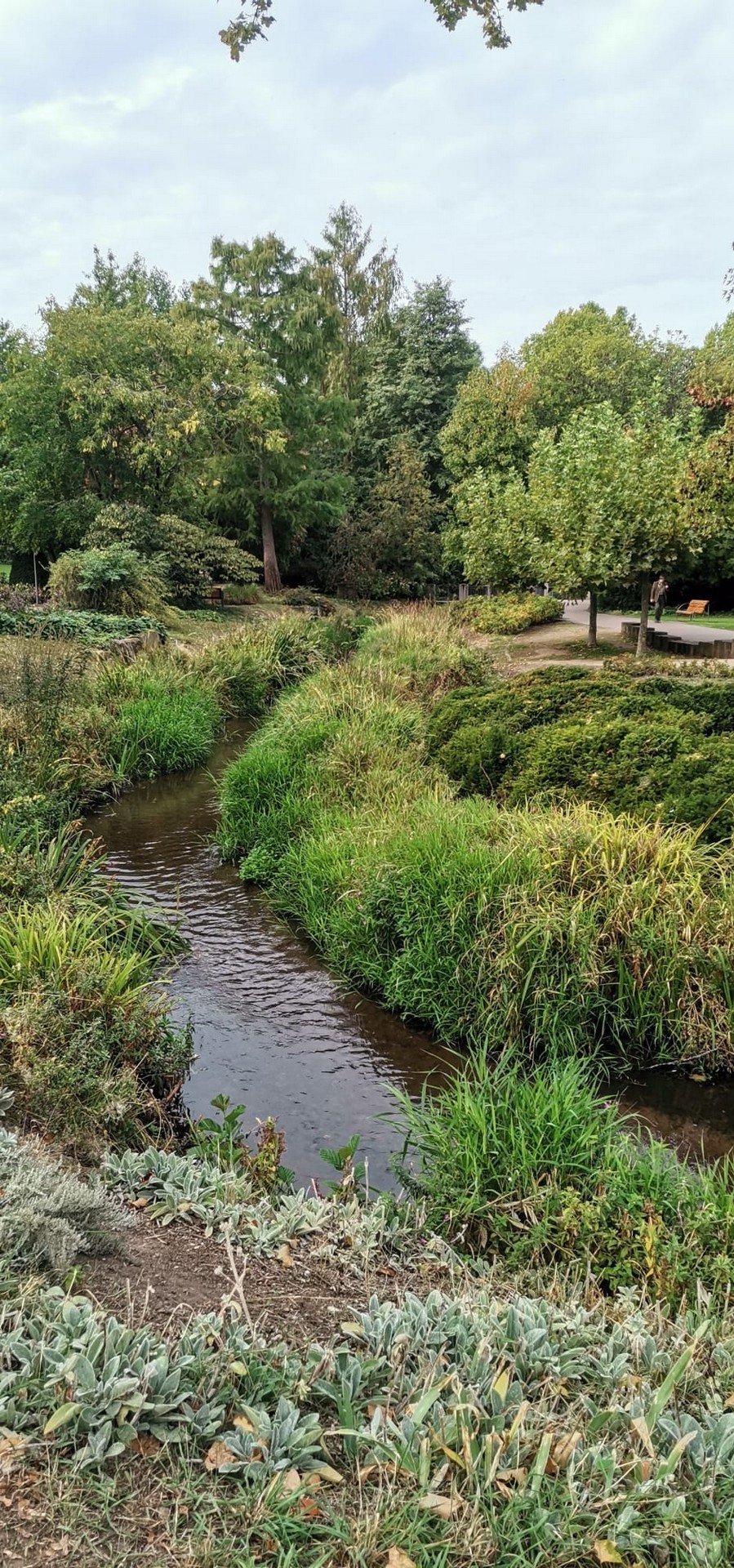 La rivière 